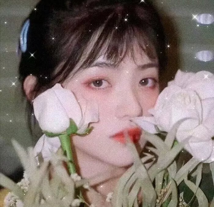 秋水伊人